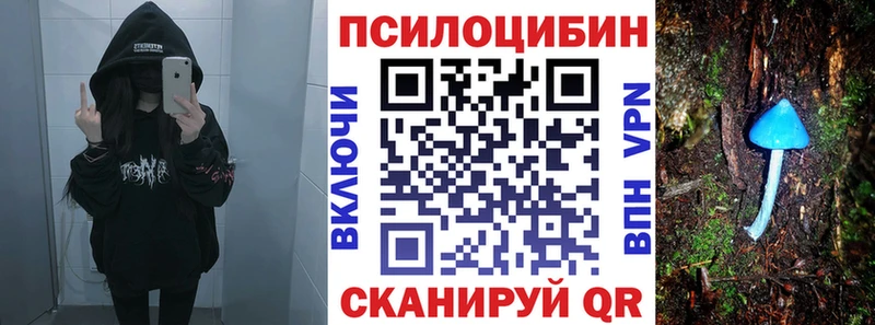 Галлюциногенные грибы мицелий  где найти   Чехов 