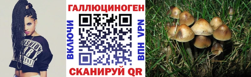 Псилоцибиновые грибы Magic Shrooms Чехов